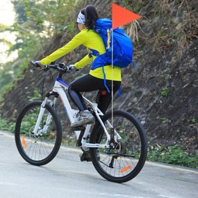 Fanion vélo publicitaire personnalisé | Impression logo...